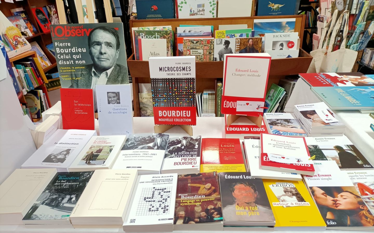 Librairie La curieuse — photo 3