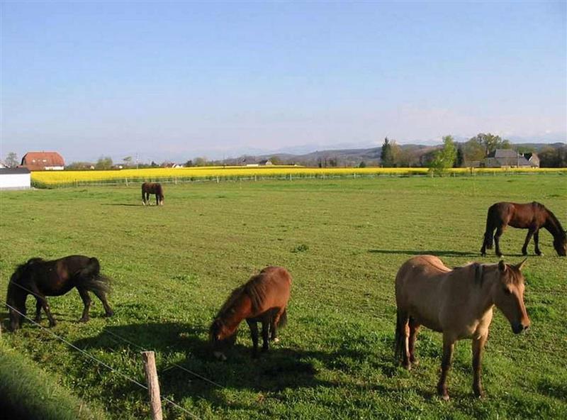Ferme Équestre Lo Casau