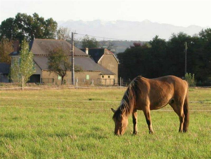 Ferme Équestre Lo Casau