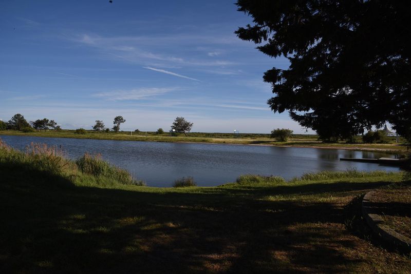 Location Chalet Yoya Bassin Arcachon, Lanton - photo 7