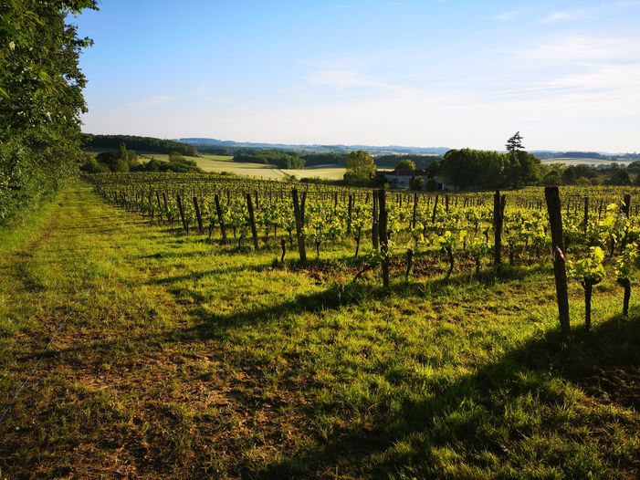 Les Terrasses, Sigoulès-et-Flaugeac - photo 2