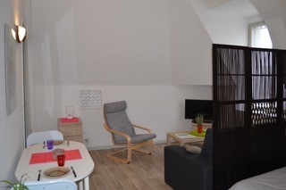 Pasteur n°3, La Roche-Posay - photo 3