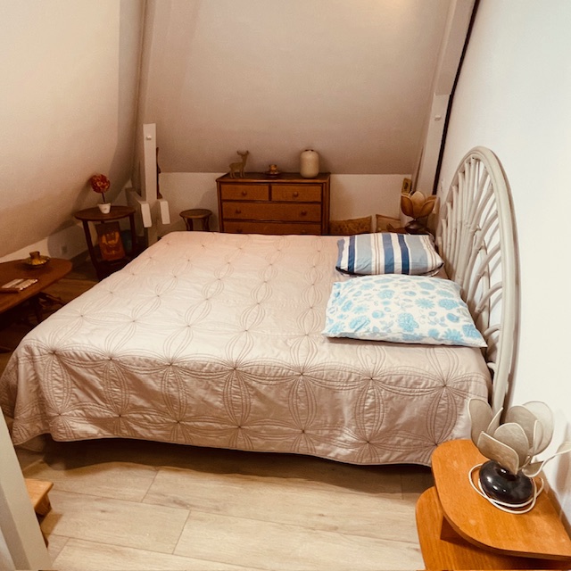 Chamant appartement dans maison de caractère, Saint-Brice-sur-Vienne - photo 6