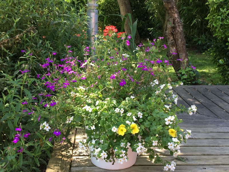 Gîte Kayola, Lanton - photo 5