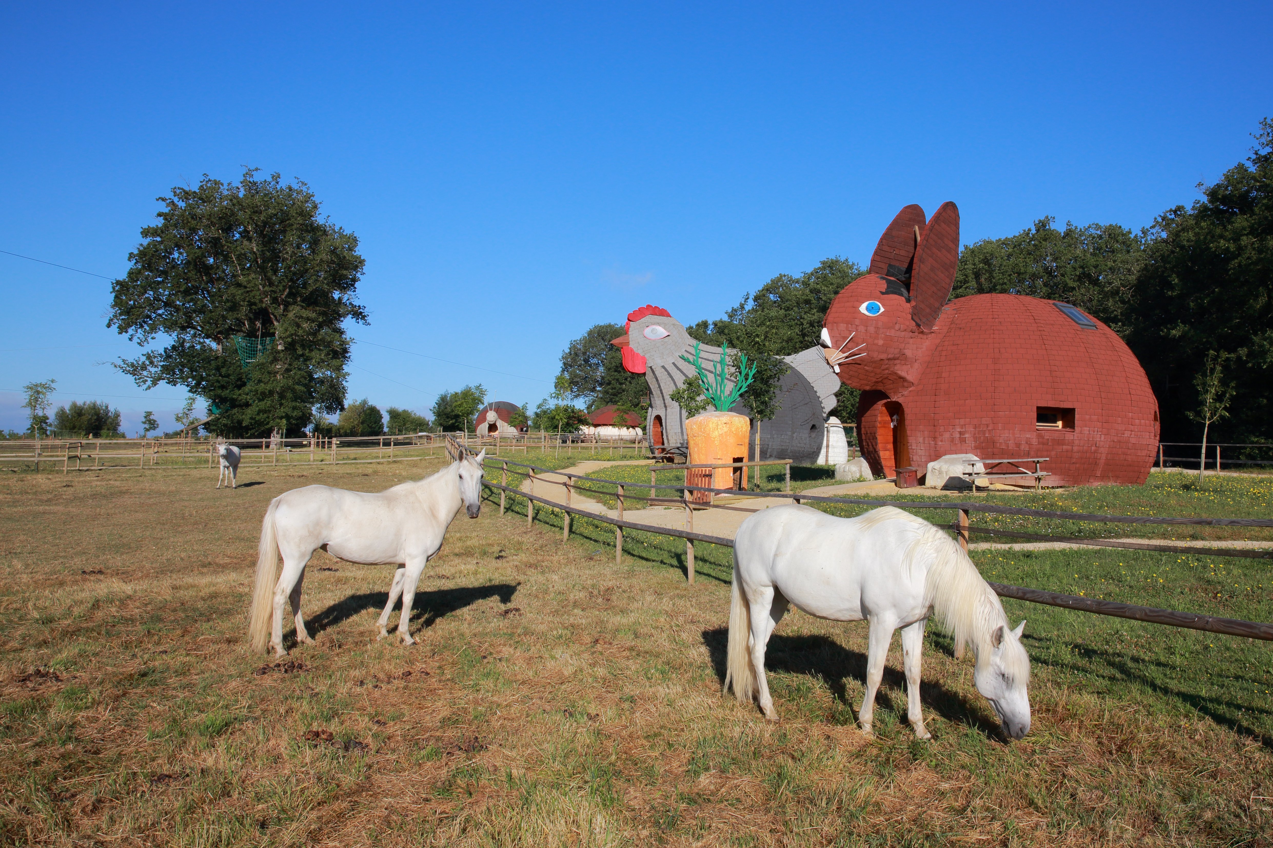 Domaine de Dienné, Dienné - photo 7