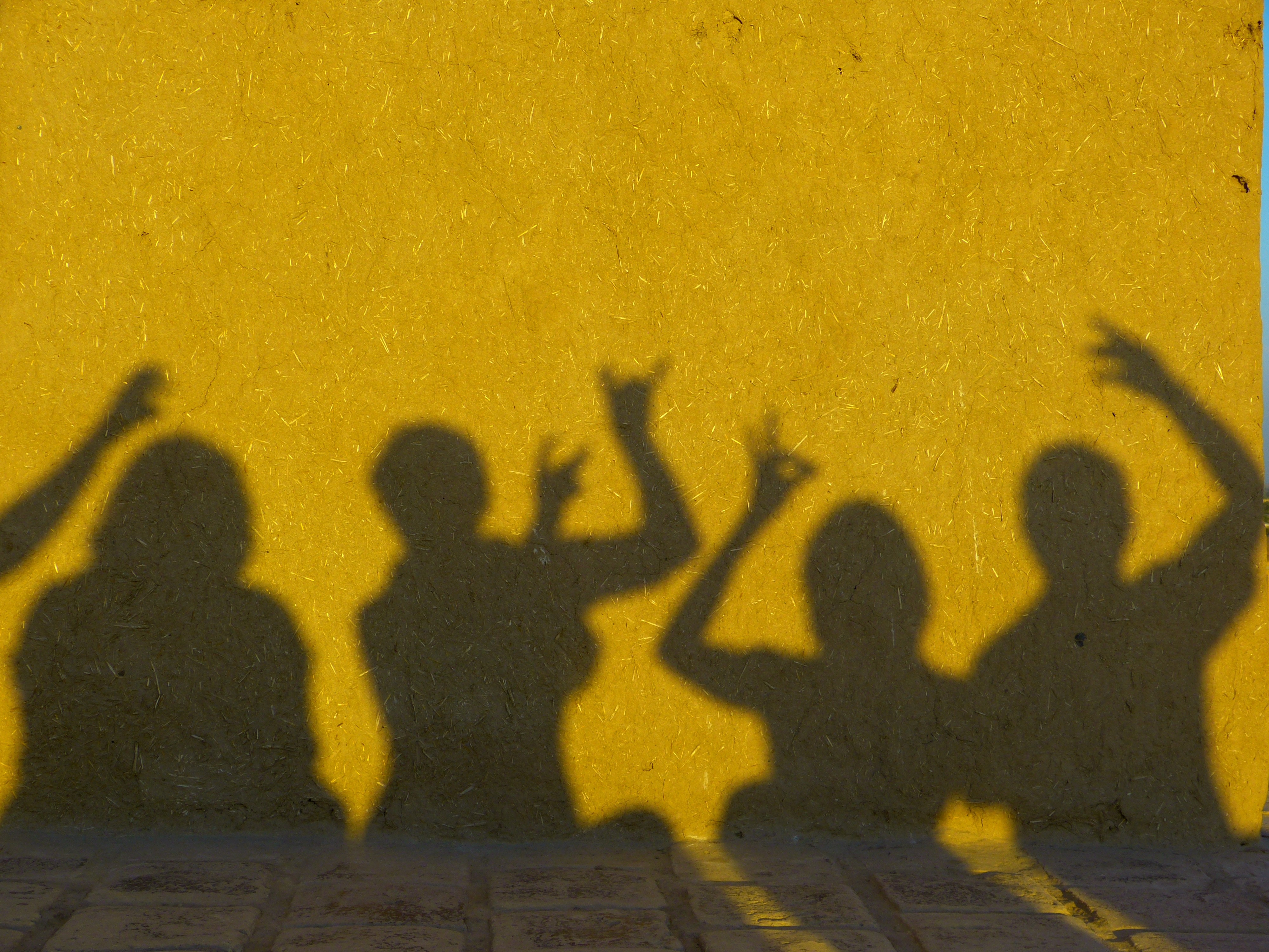 Stage théâtre d’ombres Les Contes sens dessus dessous – 7/14 ans
