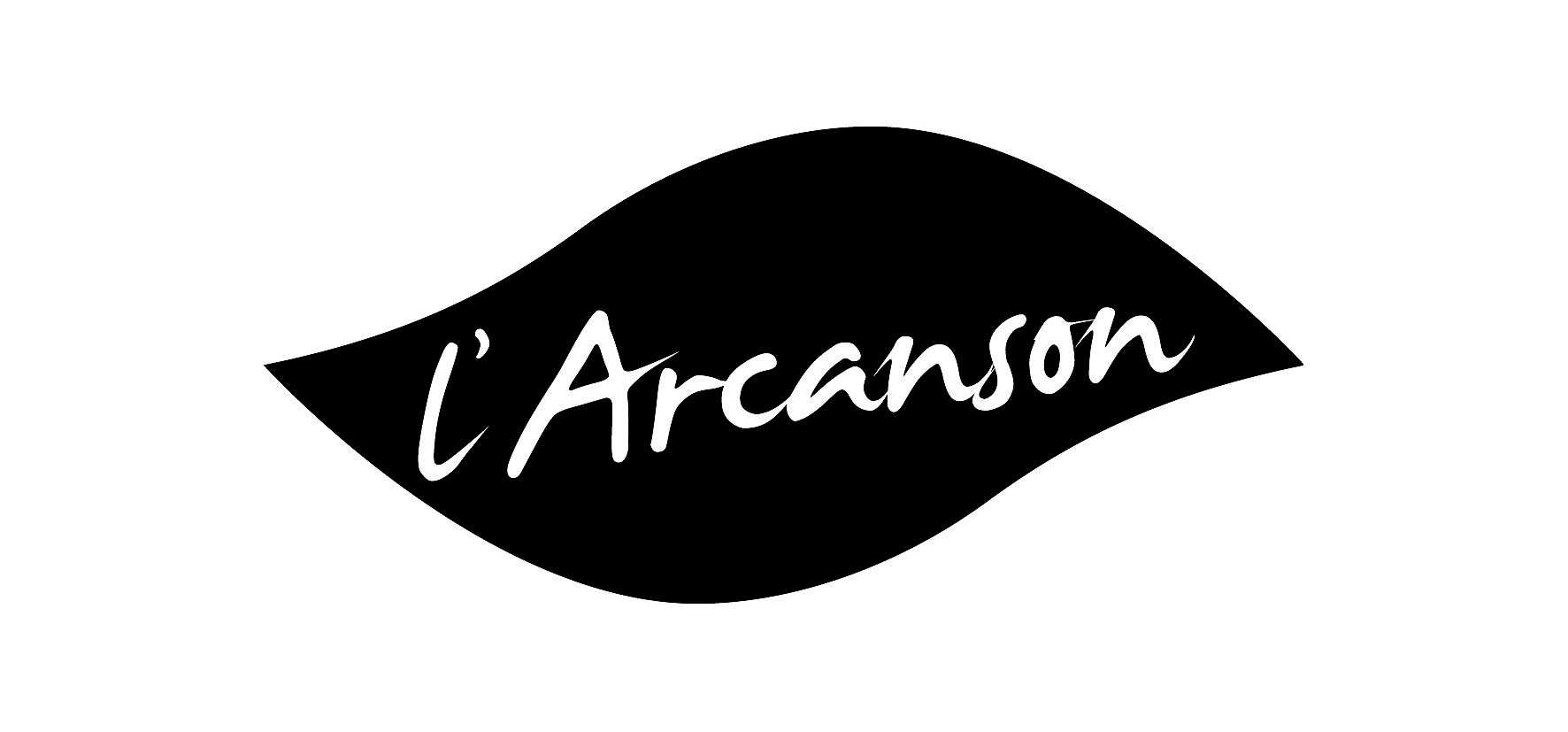 Centre Culturel l'Arcanson, Biscarrosse