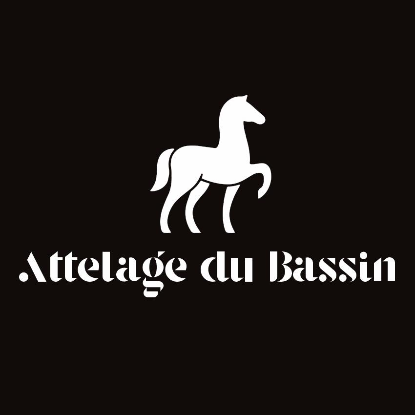 Attelage du Bassin - photo 3