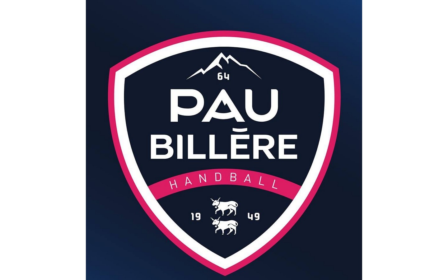 Handball: Pau Billère Handball Vs Valence