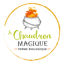 Le Chaudron Magique - photo 4