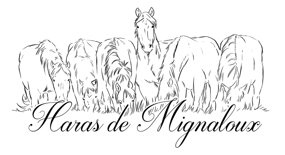 Haras de Mignaloux