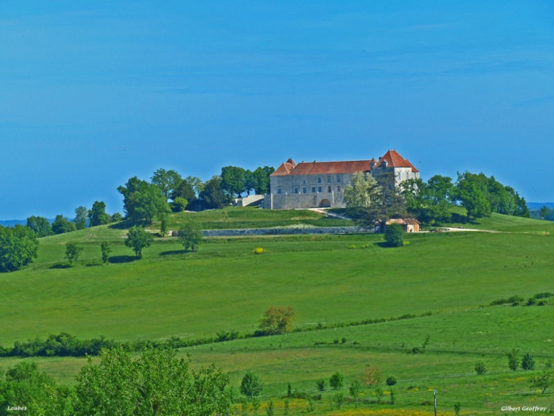 Château de Théobon, Loubès-Bernac - photo 13