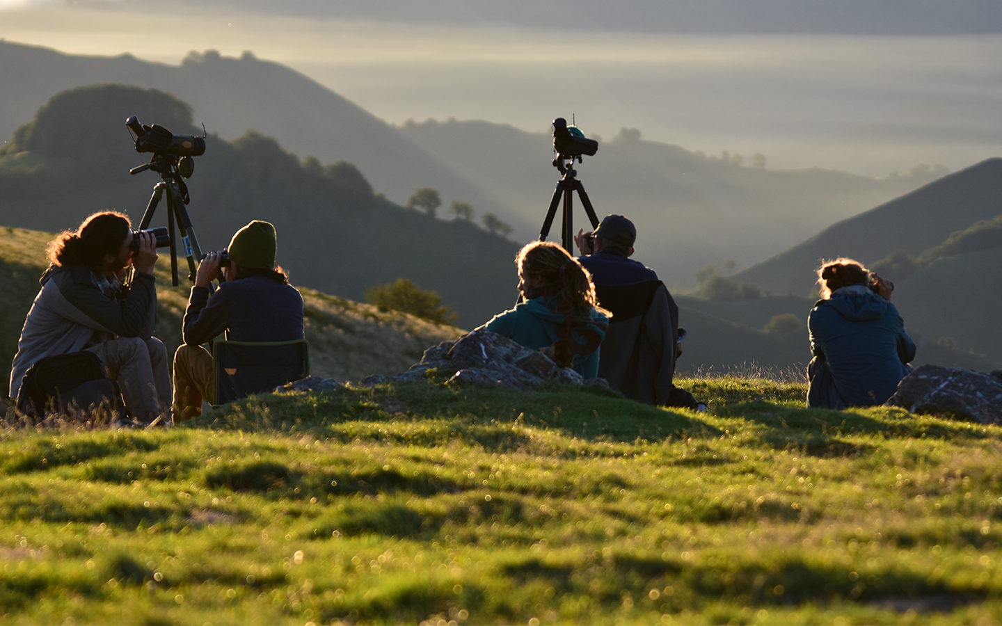 LPO Aquitaine - observation des oiseaux à Iraty