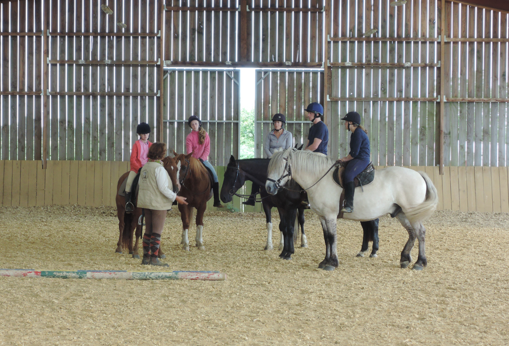 Ferme Equestre La Vallée des Cerfs — photo 2