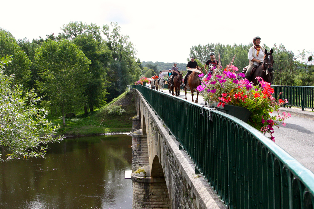 Ferme Equestre La Vallée des Cerfs — photo 3