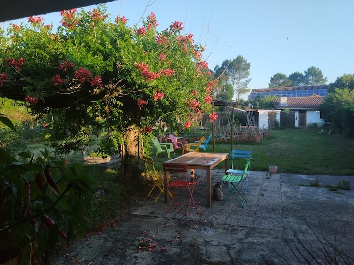 La Land'Art 2.0, Luglon - photo 14