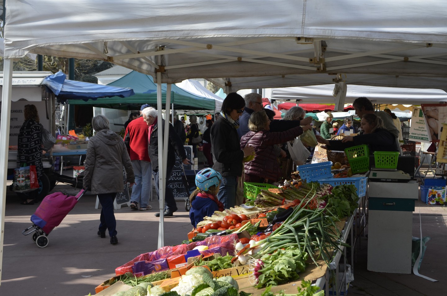 Marché, Jurançon - photo 6