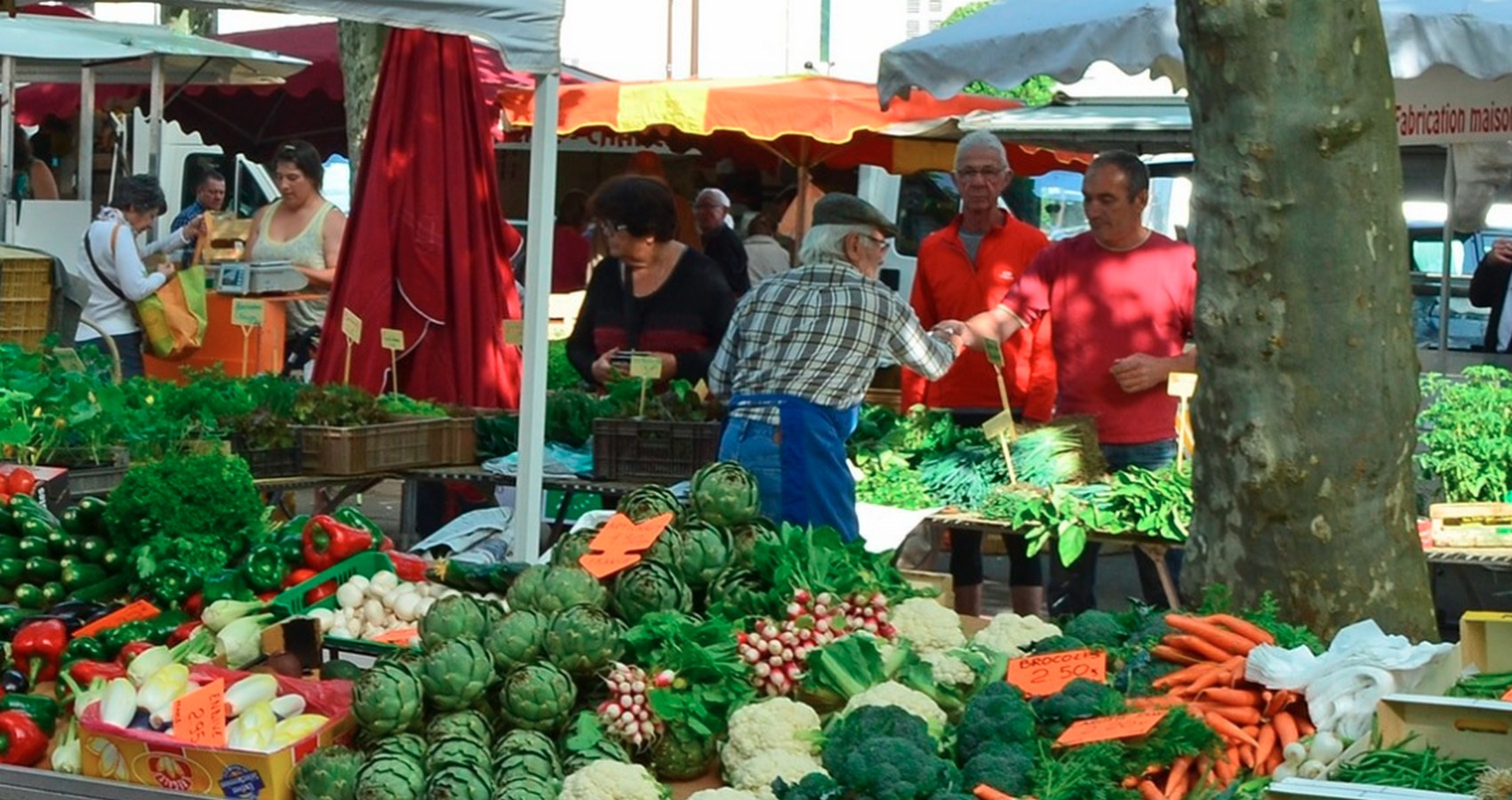 Marché, Jurançon - photo 8