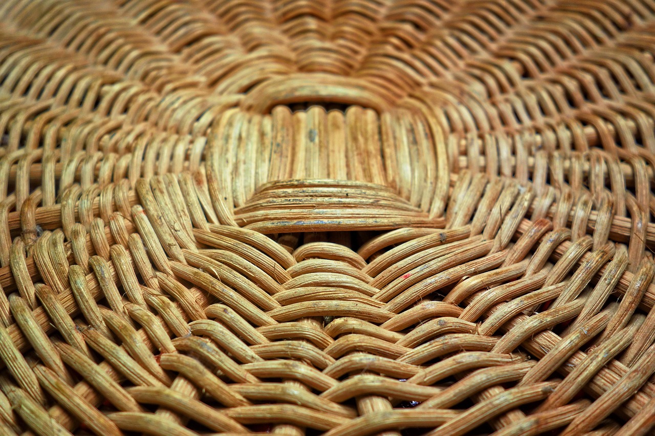 Stage : corbeille sur croisé