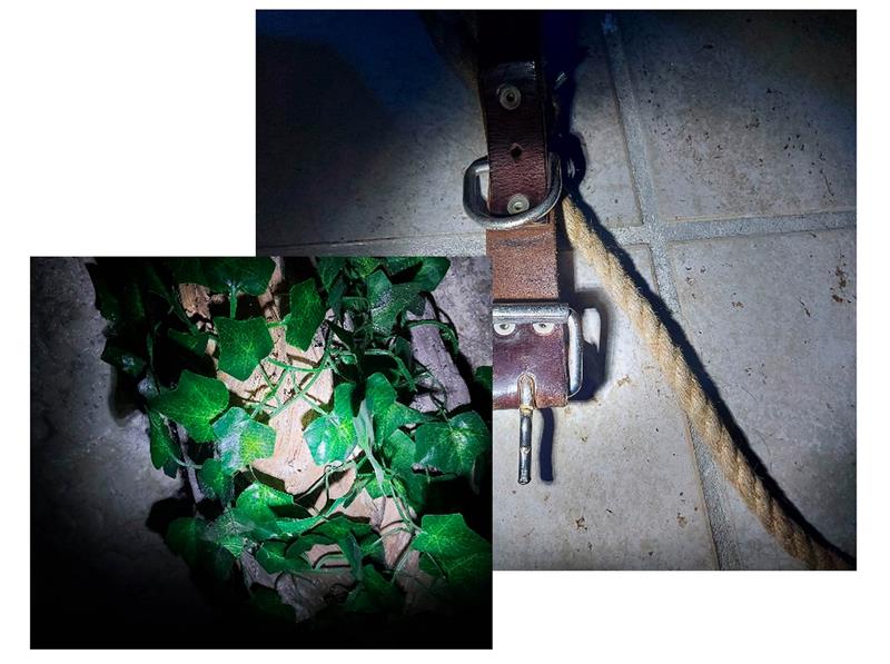 Madness Escape Game