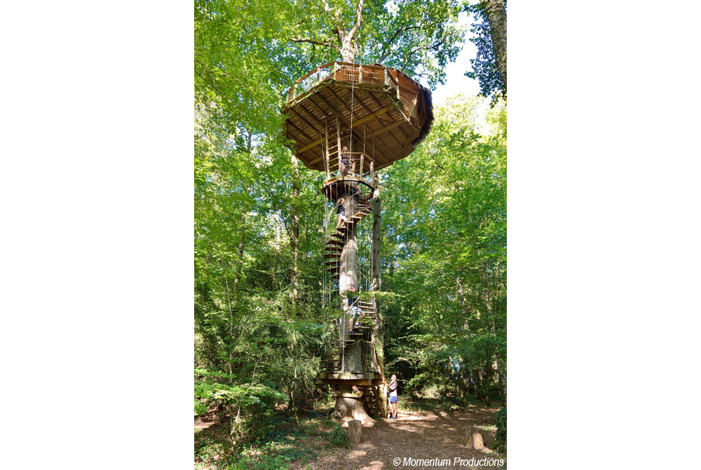 Cabane des Gorilles - Parc de la Belle