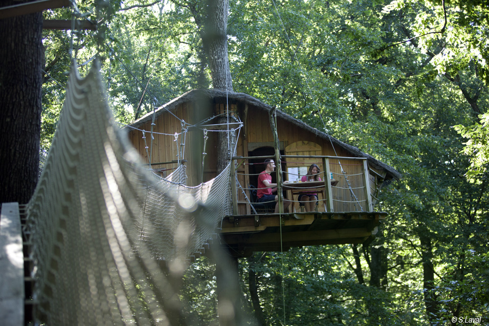 Cabane des Chimpanzés - Parc de la Belle, Magné - photo 3