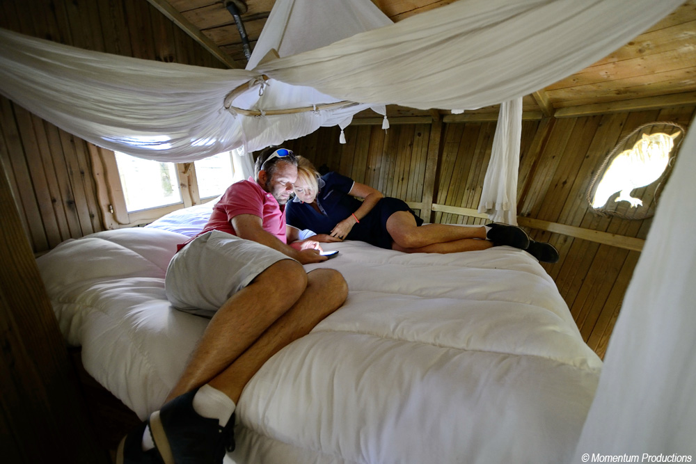 Cabane des Chimpanzés - Parc de la Belle, Magné - photo 6