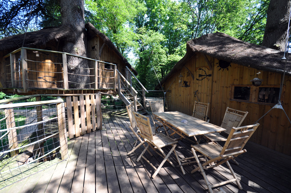 Cabane des Chimpanzés - Parc de la Belle, Magné - photo 5