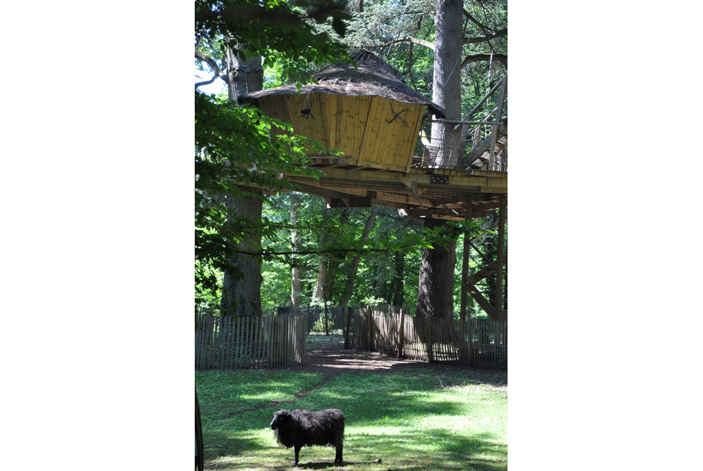 Cabane des Chimpanzés - Parc de la Belle, Magné