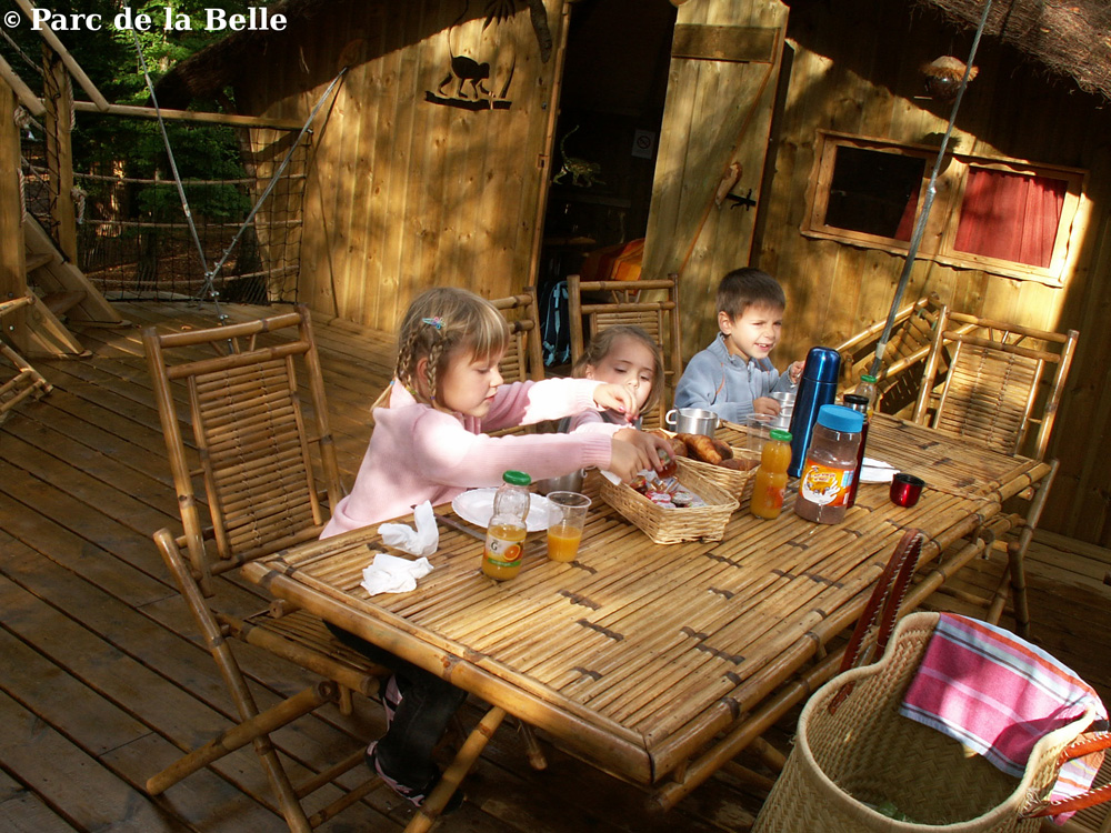 Cabane des Chimpanzés - Parc de la Belle, Magné - photo 9