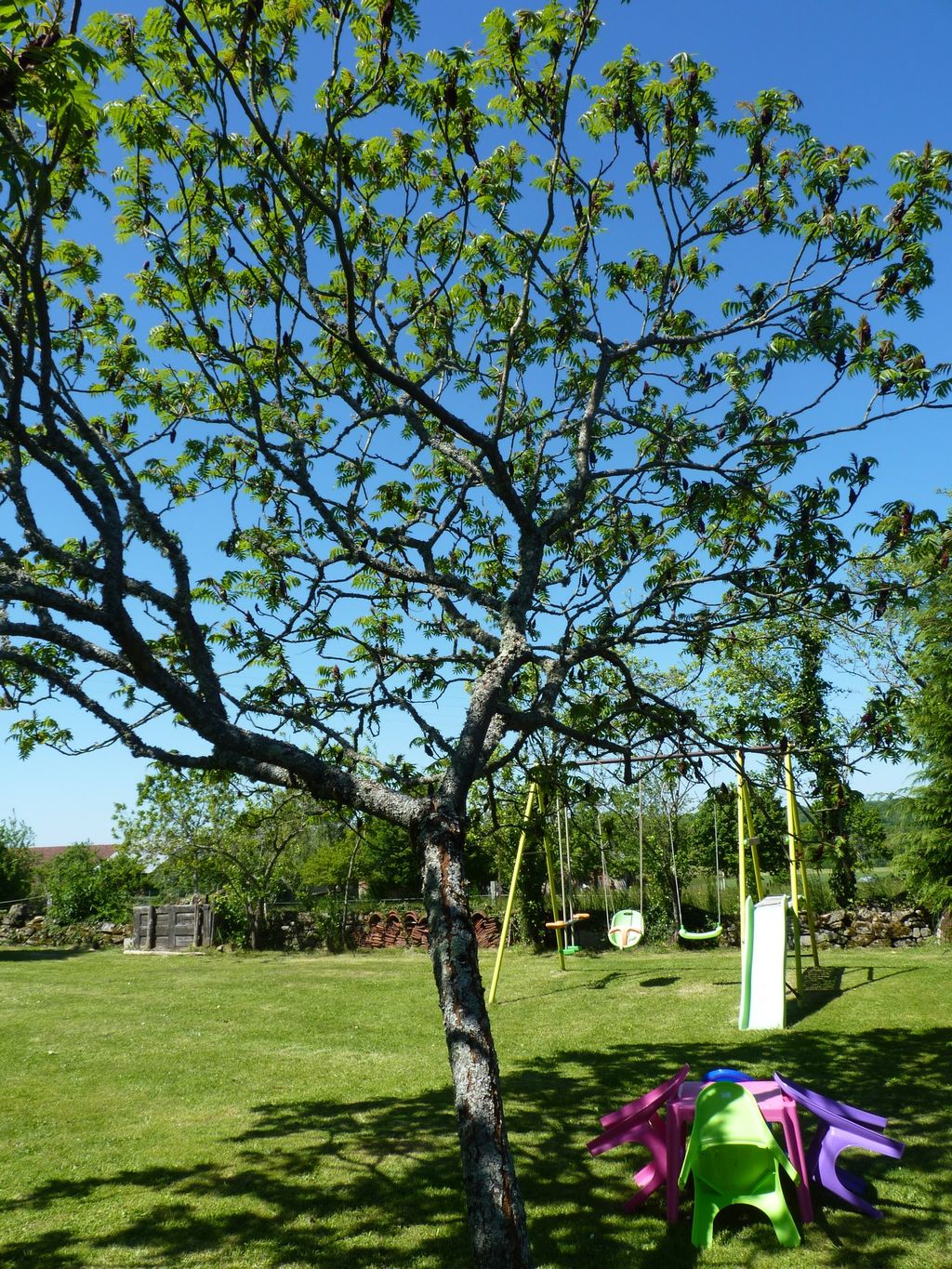 LE GÎTE DU HÉRISSON, Le Grand-Bourg - photo 13