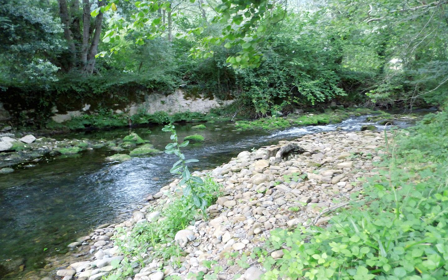 Madame Marguerite GOITY, Ispoure - photo 11