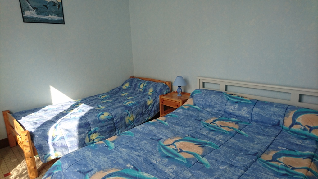 Villa arborée à 300 M de la plage, Biscarrosse - photo 6