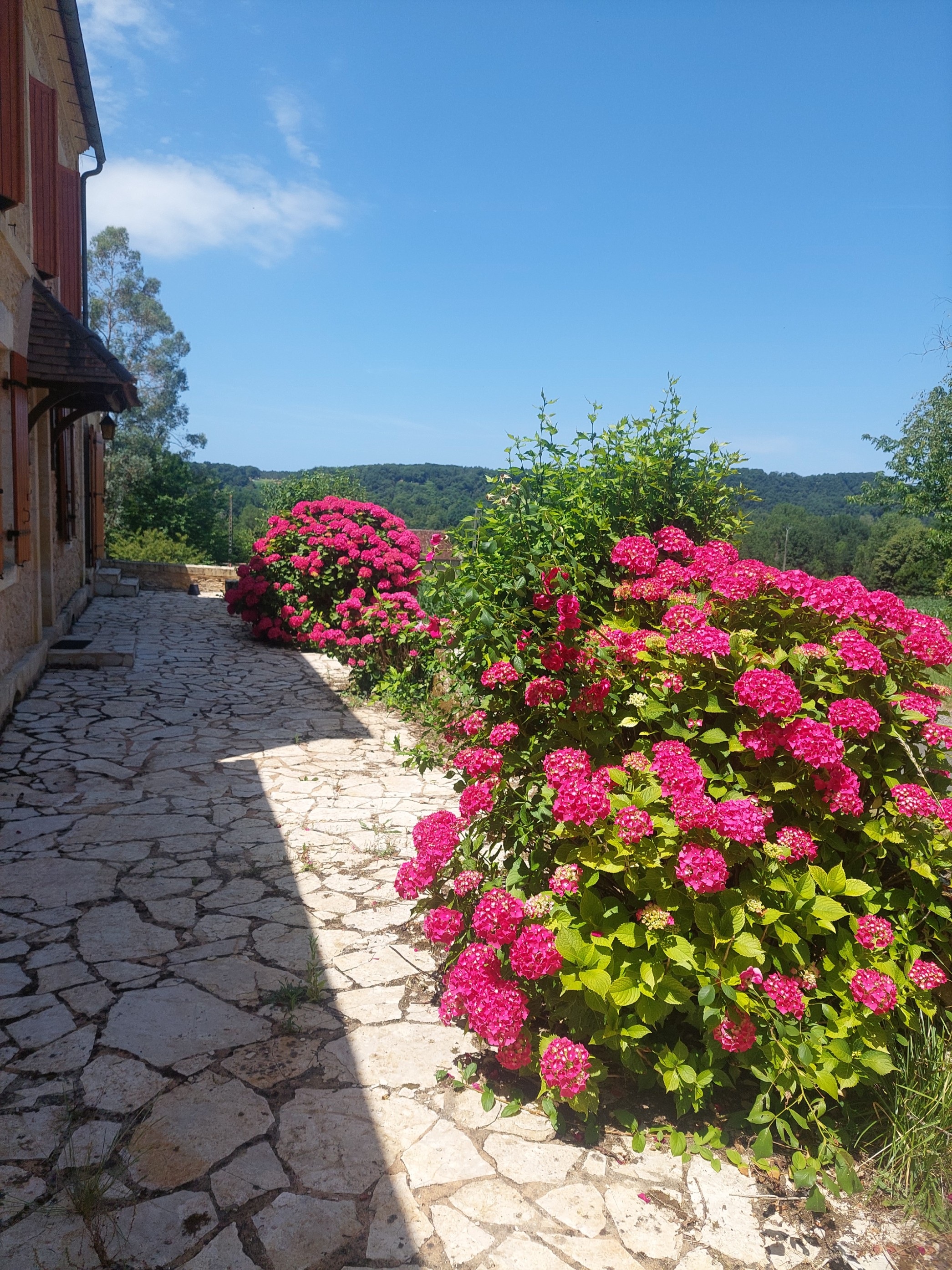 Maison des Hortensias à 500 m des bords de rivière, Limeuil - photo 16