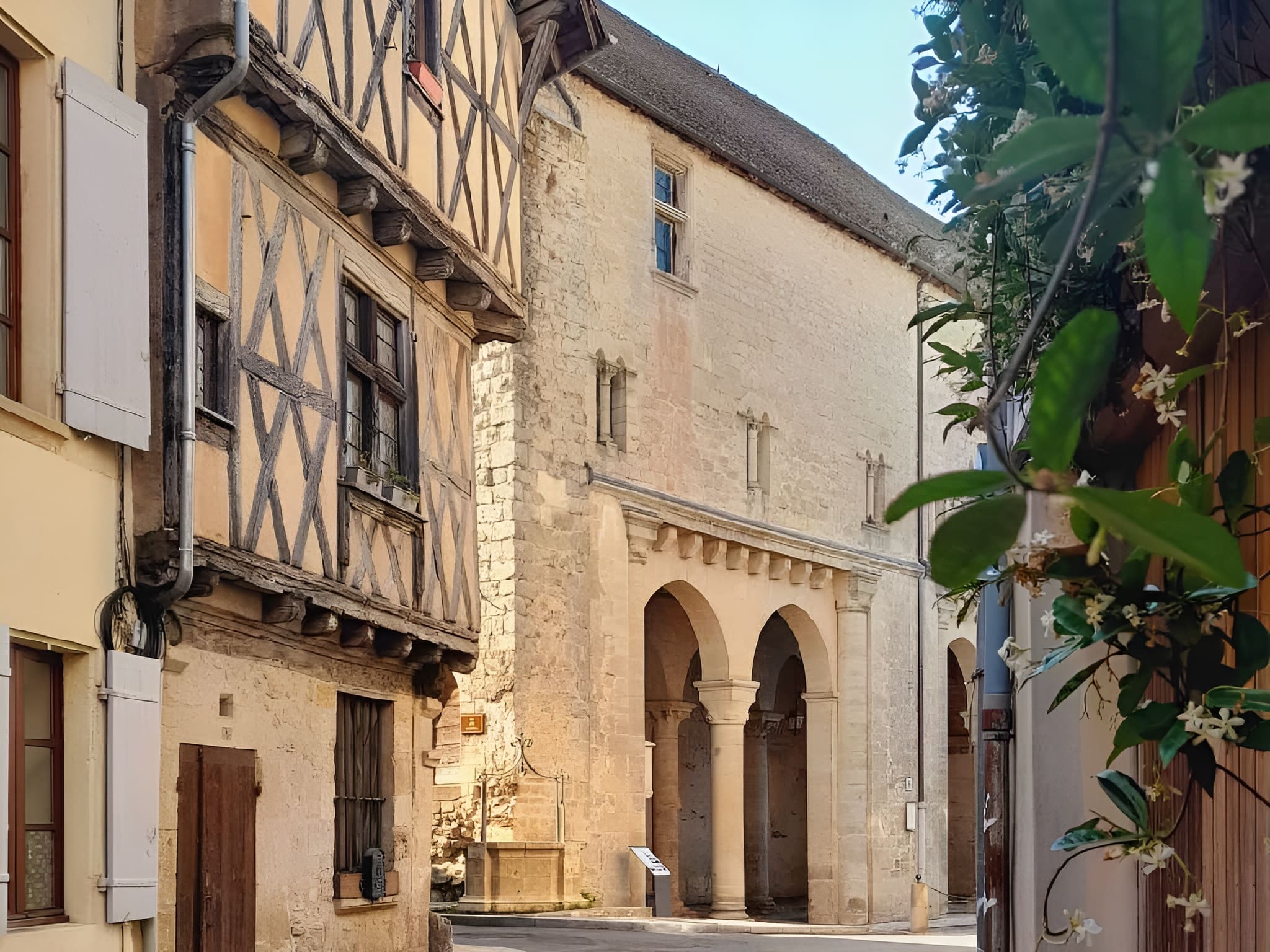 Journées Européennes de l’archéologie - visite des maisons médiévales de La Réole — visuel événement