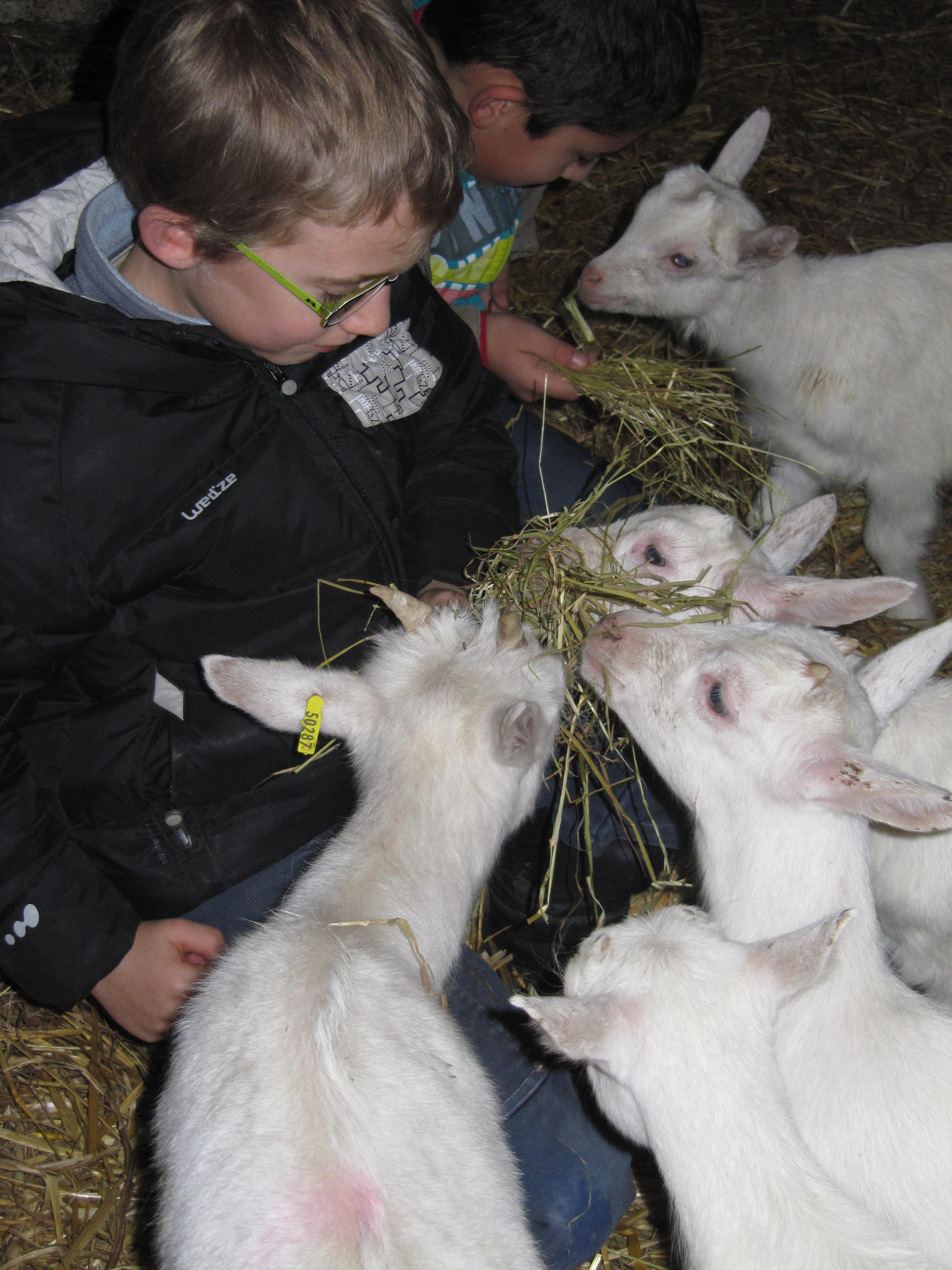 Gîte "La Gâtinelle", Pompaire - photo 3