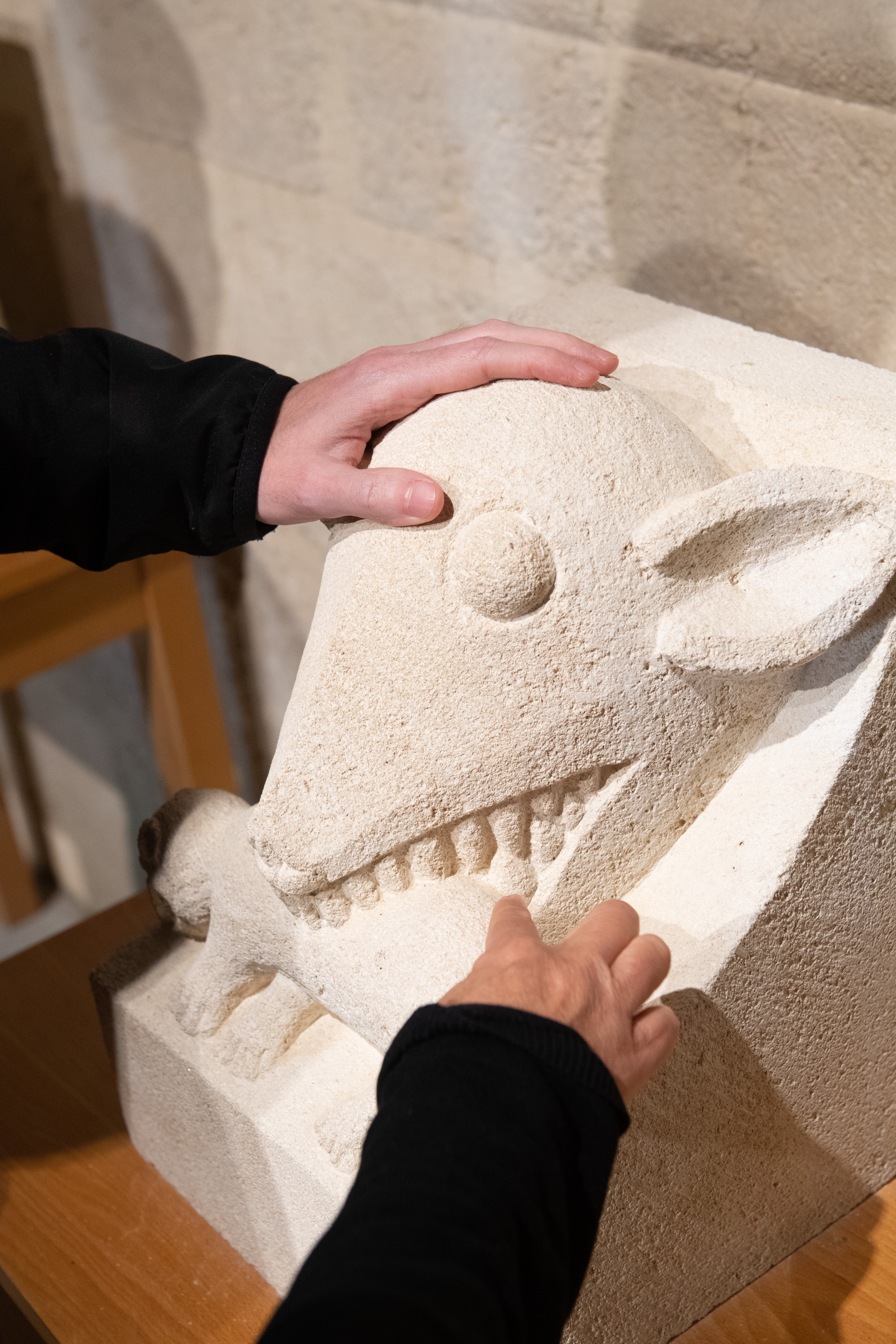 Abbaye d'Arthous, Hastingues - photo 14