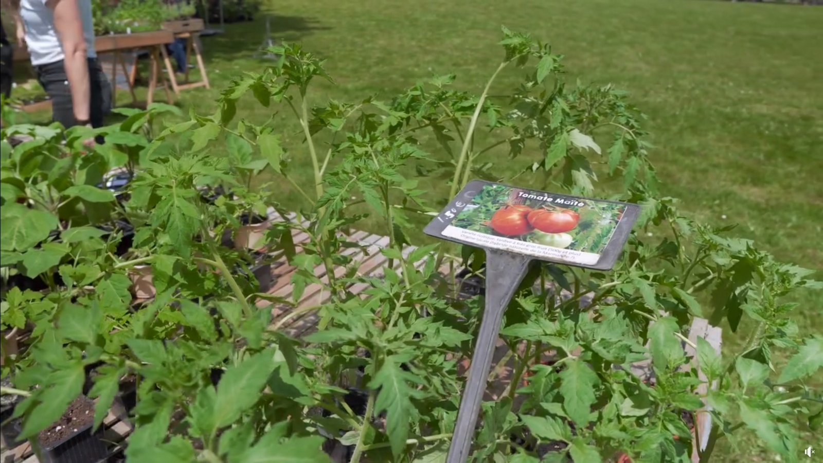 Marché hebdomadaire, Bizanos - photo 4