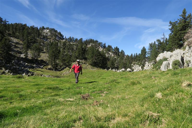 N°13 Arres de Camplong