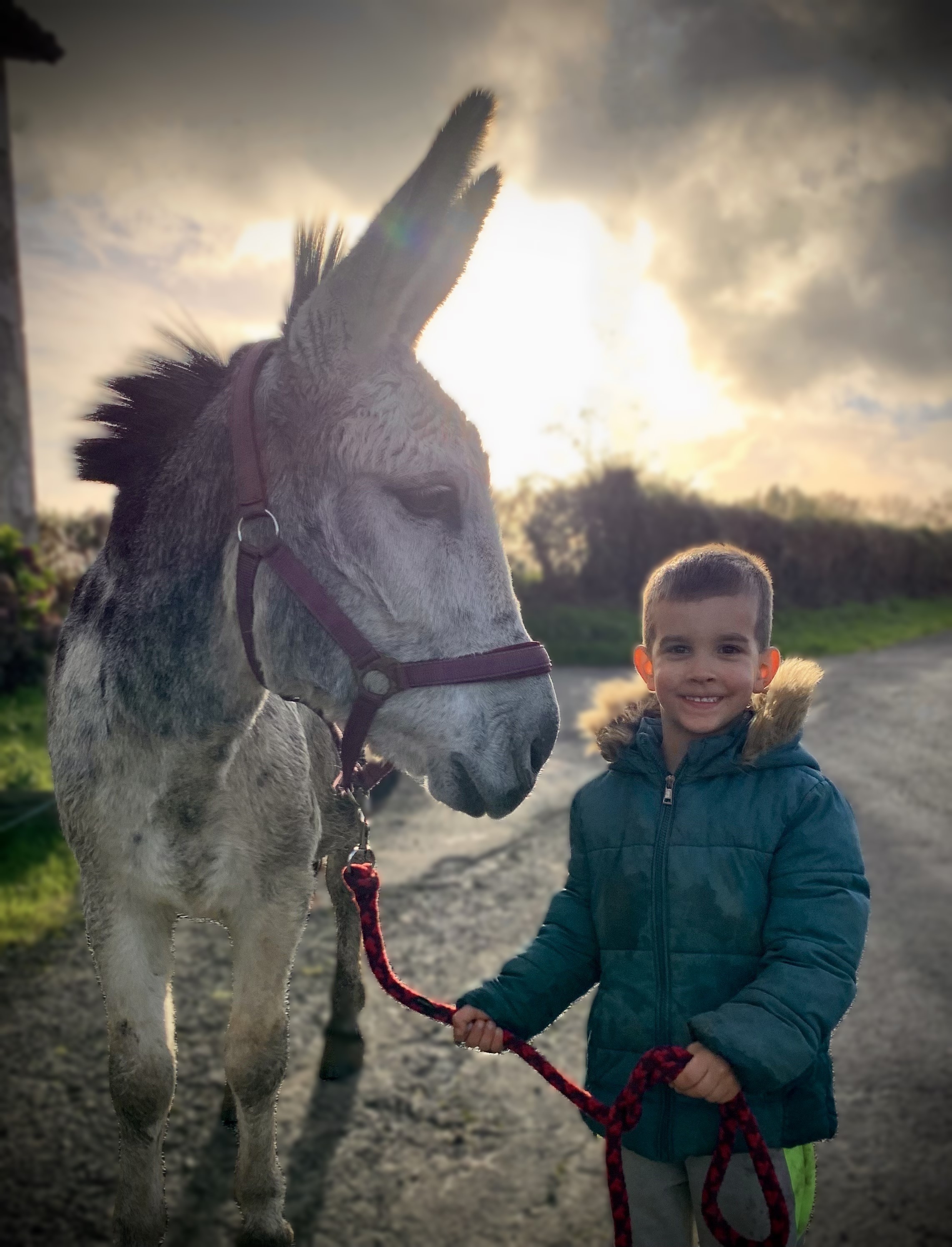 Gîte de la Marsandière, Saint-Pardoux-Soutiers - photo 14