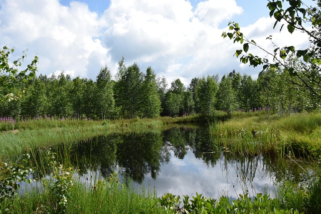 Balade-découverte "La Nature à la tombée de la nuit" au Lac de Feyt, Servières-le-Château