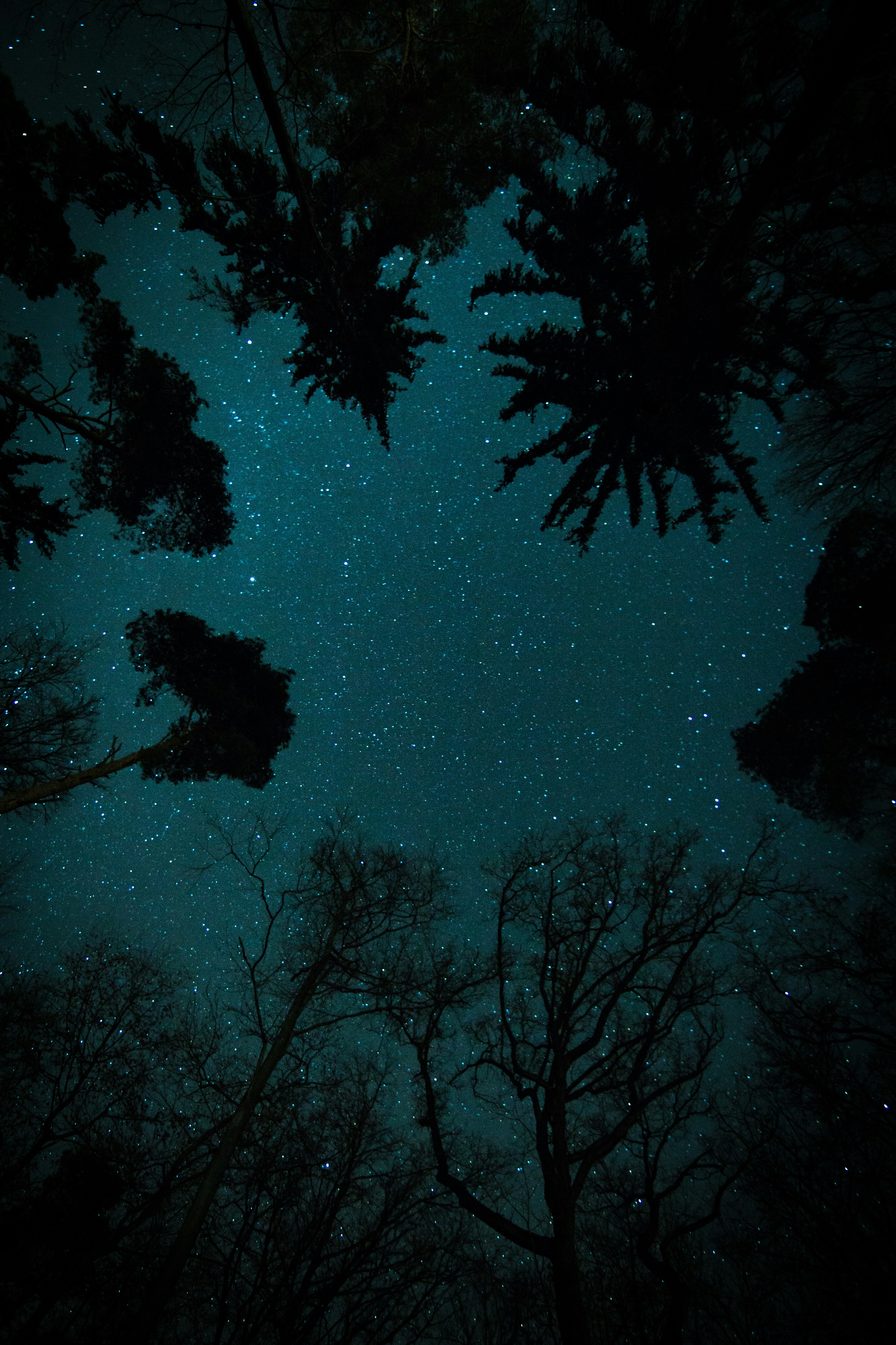 La nature la nuit, réserve départementale de biodiversité d'Argentat — visuel événement