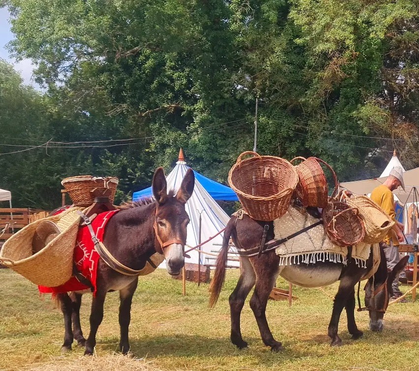 Les Médiévales de Lesparre-Médoc 2026, Lesparre-Médoc - photo 11