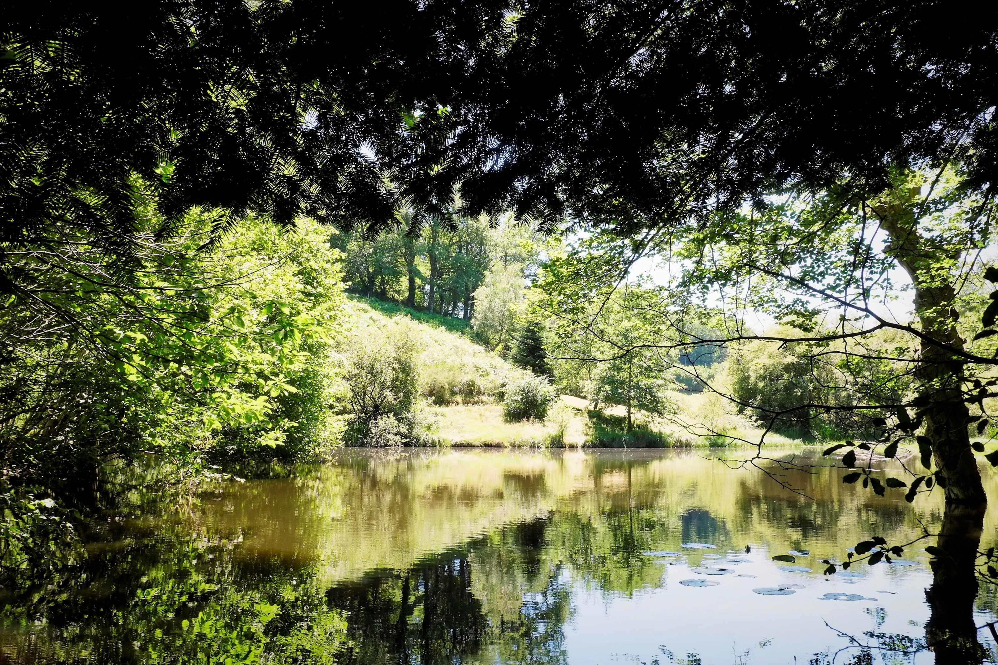 Camping P & B, Goulles - photo 15