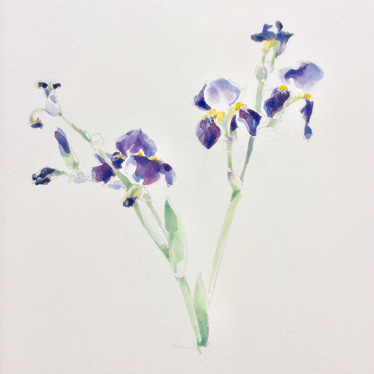 Exposition Peintures & Dessins de Marie-Sophie Mejan — visuel événement