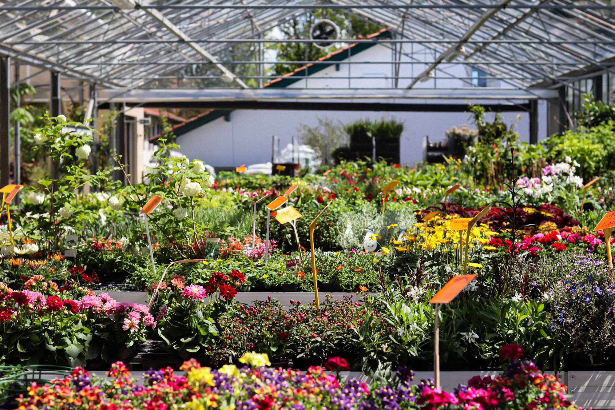 Atelier nature avec Mendi, le jardin de tous
