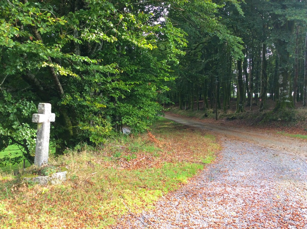 La Maison du Fermier - photo 3
