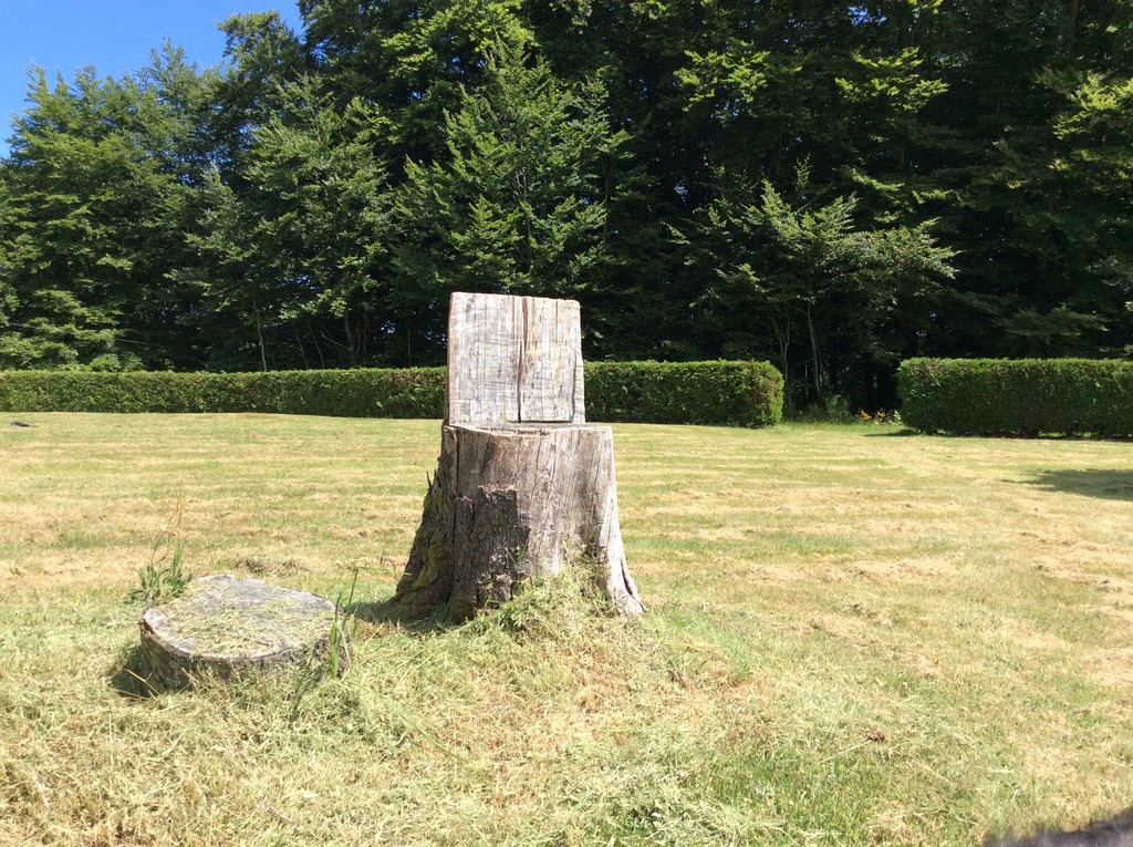 La Maison du Haut, Viam - photo 12