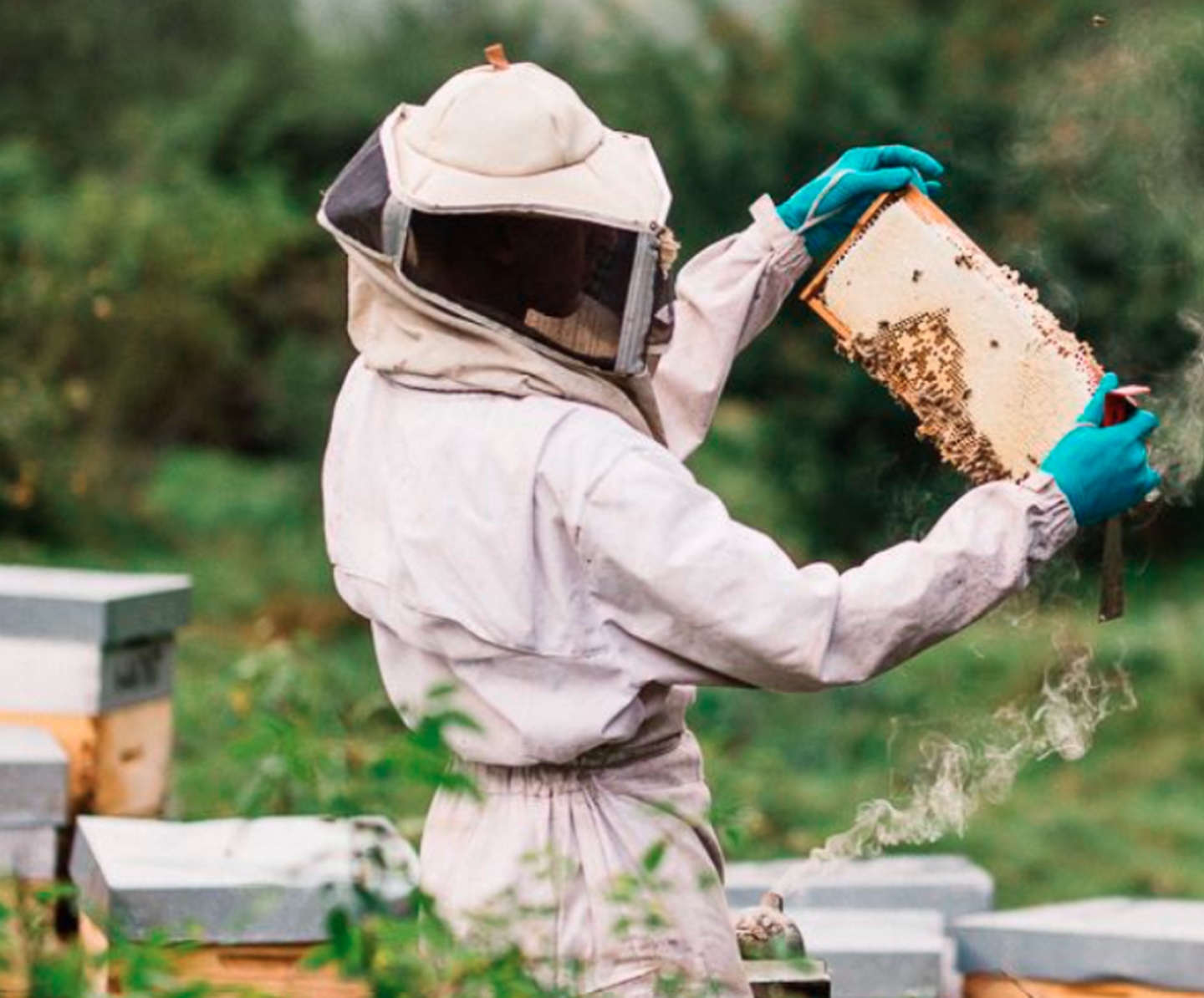 EARL Miellerie Damine - photo 2