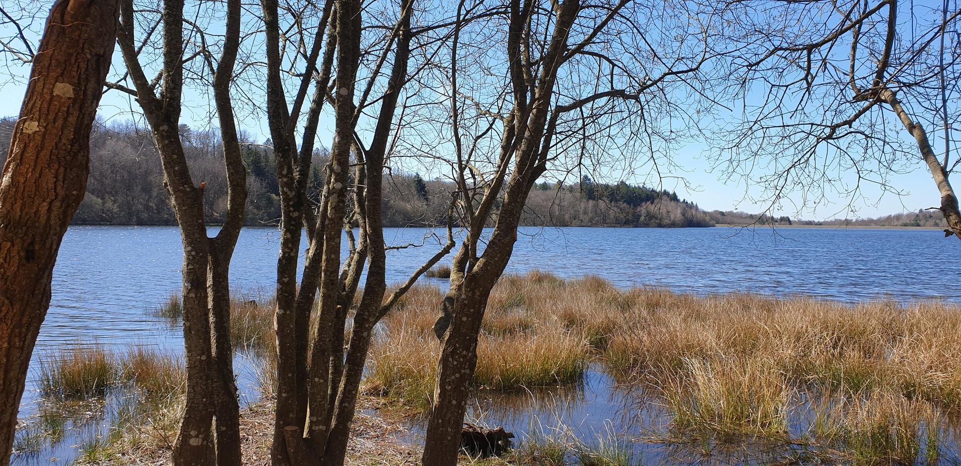 Boucle de l'Etang de Miallet, Mialet - photo 2